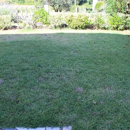 Country house Oliveira