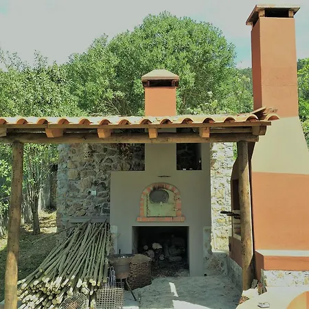 Oliveira Country house Figueira de Lorvao